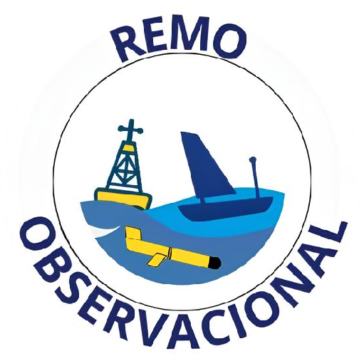 Logo REMObs